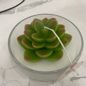 Succulent Botanical Soy Blend Candle 11.5 oz by Sincerely Jules Home